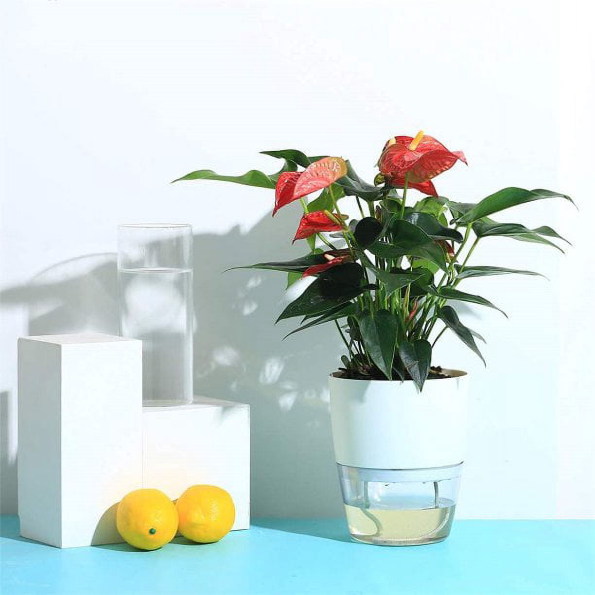 Self Watering Pots for Indoor Plants, Flower Pots Outdoor, 3 Pack 6 Inch Self Watering Planter, Plant Pots , Plastic Flower Pots, Plant Pots Indoor, Flower Pots Indoor, White