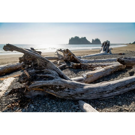 James Island and driftwood on the beach at La Push on the Pacific Northwest, Washington State, Unit Print Wall Art By Martin
