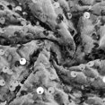 thumbnail image 5 of Mefallenssiah Femmes de la Mode Solide Torse Nu V-Cou Ouvert Lacets Robe de Plume de Paillettes, 5 of 5