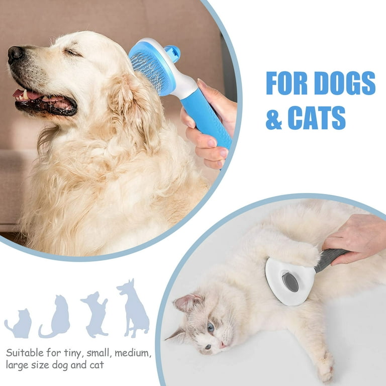 Dog hotsell cleaning cat