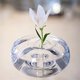 thumbnail image 2 of Soporte flotante para tallos de flores, transparente, para arreglos florales, con rotación dinámica, para peceras y decoración de mesa., 2 of 8