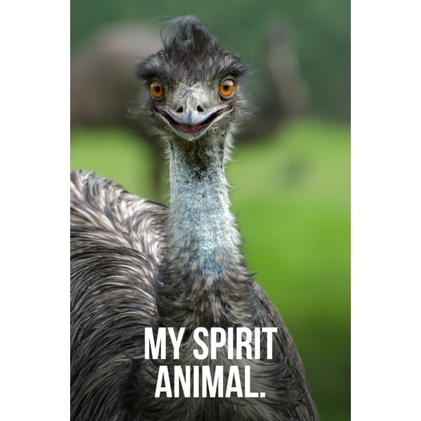 My Spirit Animal: Happy Emu Journal (Paperback) 