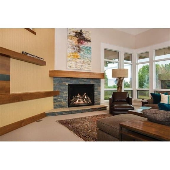 Empire DVCT36CBP95P 36 in. Rushmore Gas Direct Vent See-Through Fireplace, Liquid Propane