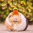 thumbnail image 4 of 4PCS Hamster Hat Mini Small Animals Hat with Adjustable Strap Lovely Hand Knitted Frog Rainbow Carrot Tiny Hats for Lizard Guinea Pig Reptile Christmas Holiday Party Clothes Costume Accessories, 4 of 7