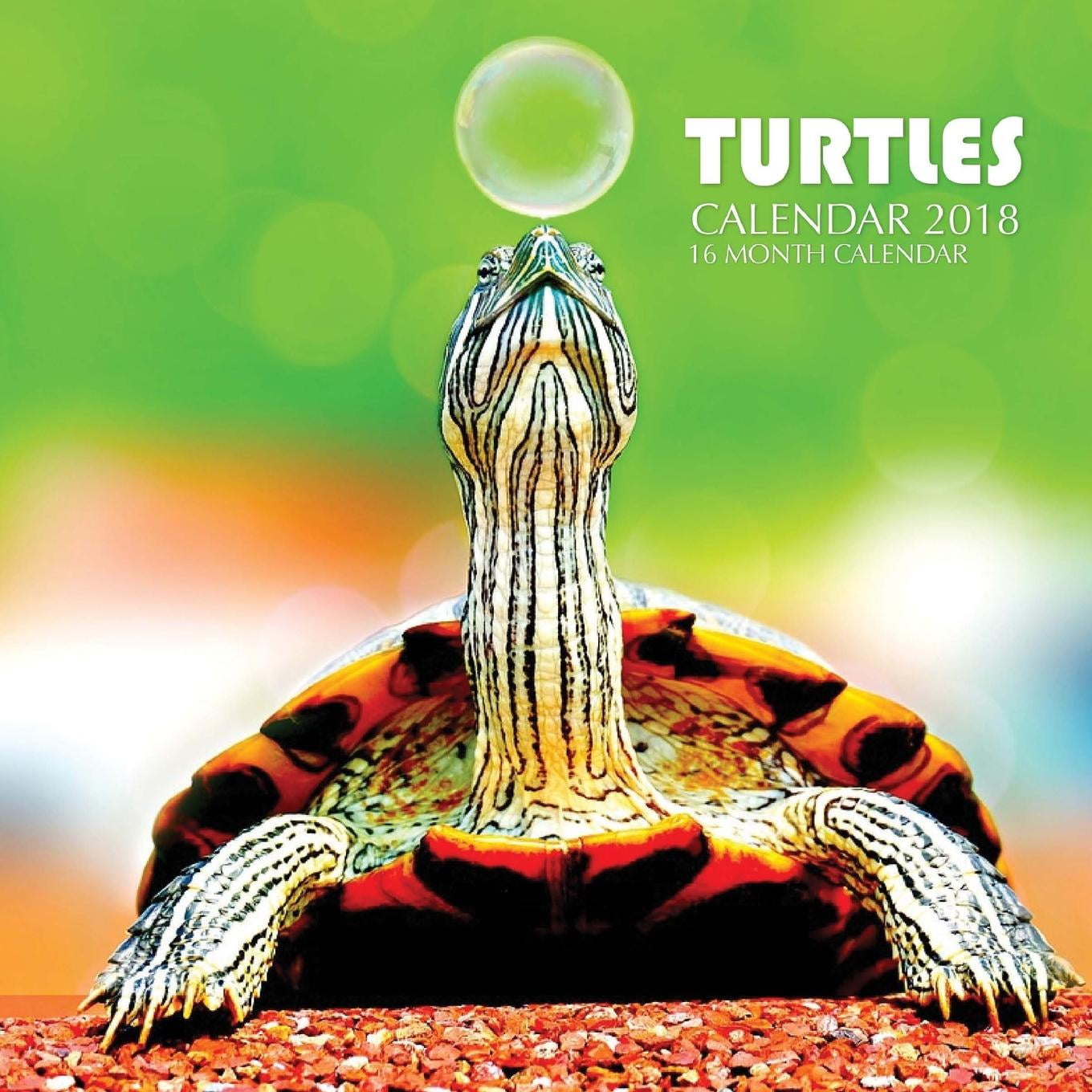 Turtles Calendar 2018: 16 Month Calendar (Paperback) Walmart com