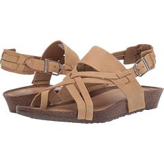 teva ysidro extension