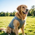thumbnail image 2 of Sleeveless Dog Tank Top Summer Breathable Plain Pet Vest Machine Washable Soft Cotton Puppy T-Shirt for Small Medium Dogs Cats Indoor Outdoor Daily Wear, 2 of 6
