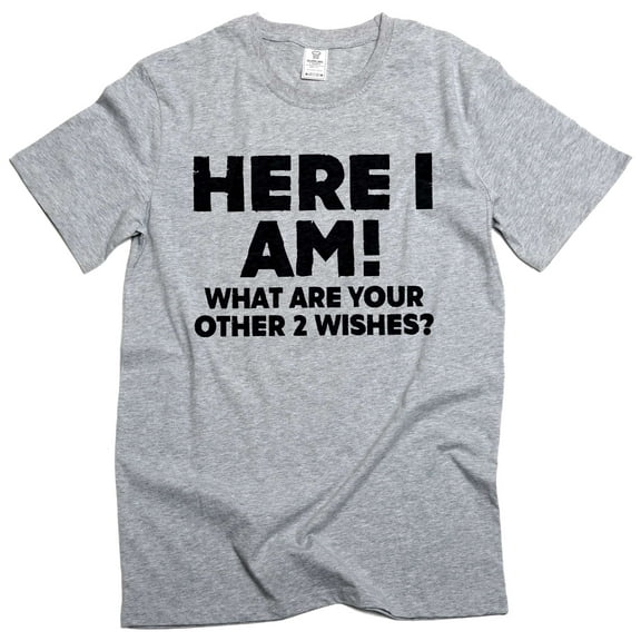 Men's Funny Here I am what are your other 2 wishes T-shirt humorous conversation starter graphic tee (Small Grey)