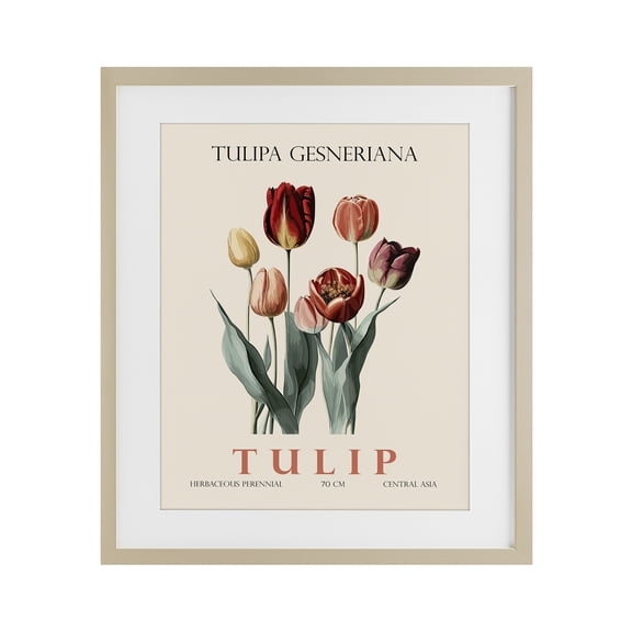 Stupell Industries Contemporary Natural Tulip Bundle Birch Framed Print Under Glass, 17 x 21, by Christopher Giampietro