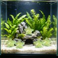 thumbnail image 4 of Cififendec 10Pcs Luminous Starfish Mini Ornament, 1", Glow In Dark Resin Aquarium Landscape Decoration for Fish Tank Bottom Layout, Underwater Scene Decor, 4 of 5