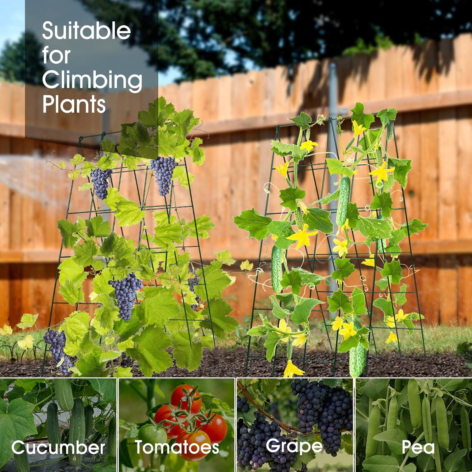 Cucumber Trellis for Raised Bed,  16.5 x 40 Inch Metal Trellis for Climbing Plants Outdoor with Plant Clips Twist Ties, Garden Plant A-Frame Trellis for Vegetable Pea Tomato (Green, 2 PCS)