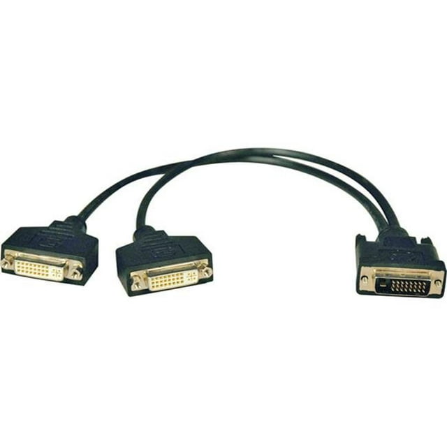 Câble de Séparation à Double Liaison DVI de 1 Pi