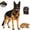 With blood, variant on Halloween Dog Muzzle with Teeth Scary Hell Hound Beast Latex Costume Mask | Hellhound Werewolf Beast Muzzle, Natural Latex, Adjustable Straps for Halloween Photos & Cosplay, Not for Bite Control