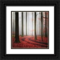 thumbnail image 1 of Meyerdierks, Carsten 12x12 Black Ornate Wood Framed with Double Matting Museum Art Print Titled - Autumnal Tracks, 1 of 4