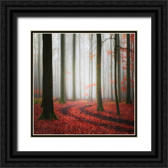 Meyerdierks, Carsten 12x12 Black Ornate Wood Framed with Double Matting Museum Art Print Titled - Autumnal Tracks