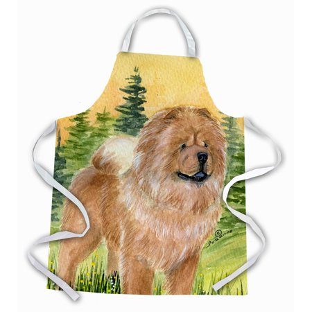 Apron