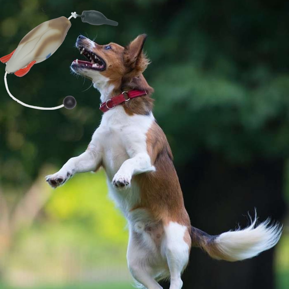 Pet Fake Duck Training Interactive Toys Pet Products Supplies For Medium Large Dogs (33 x 7 x 6cm)