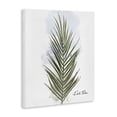 thumbnail image 2 of Stupell Industries Contemporary Modern Date Palm Leaf Canvas Art, 16 x 20, by Matthew Piotrowicz, 2 of 7