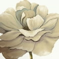 thumbnail image 2 of KUMA 20x20 Gold Ornate Wood Framed with Double Matting Museum Art Print Titled - Cream Silken Bloom Withaar, 2 of 4