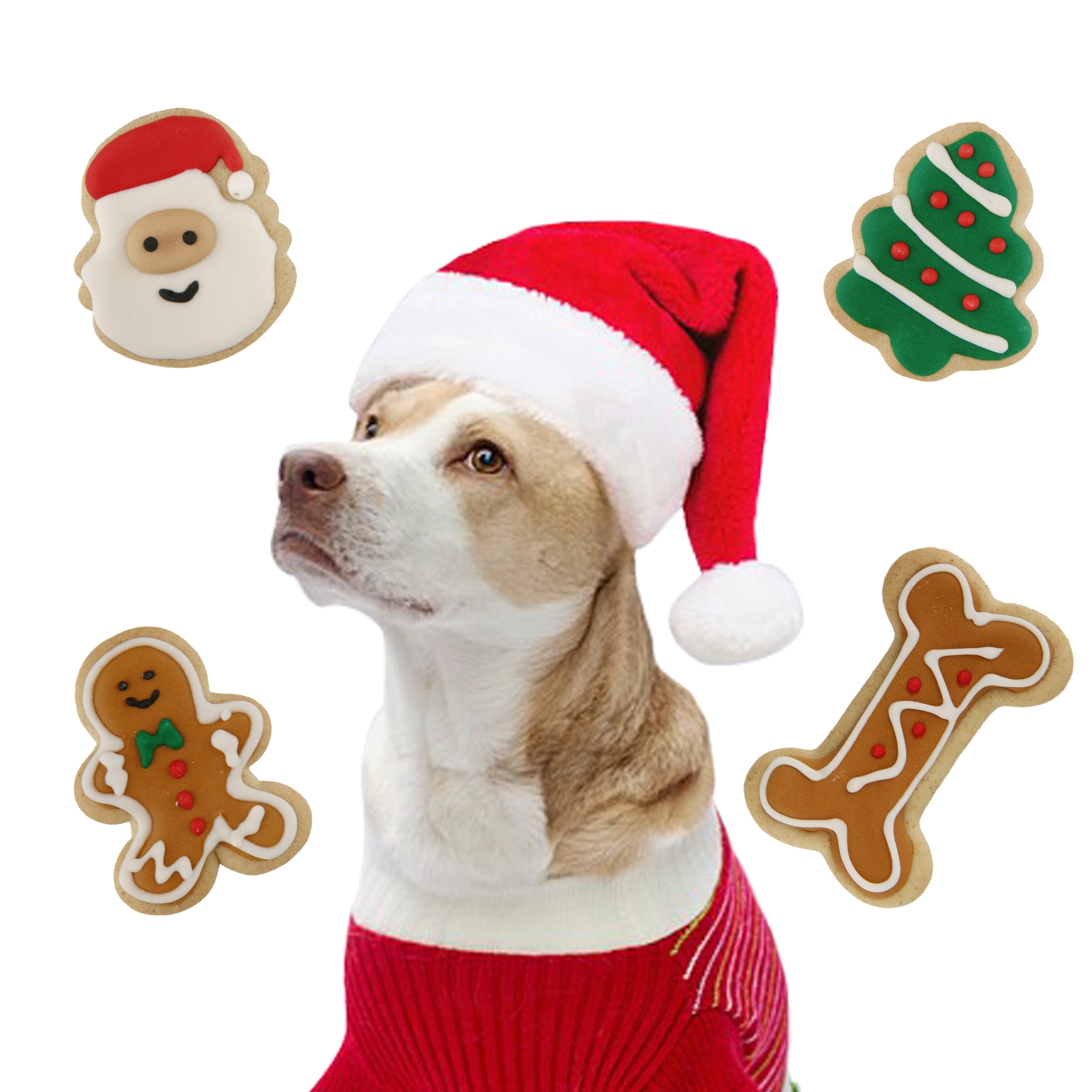 Vibrant Life Holiday Crunchy Biscuit Treats for Dogs, Peanut Butter, 9.5 oz, 18 Count
