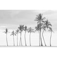 thumbnail image 2 of Murdock, Ramona 18x13 Gold Ornate Wood Framed with Double Matting Museum Art Print Titled - Paradise in Black and White, 2 of 4