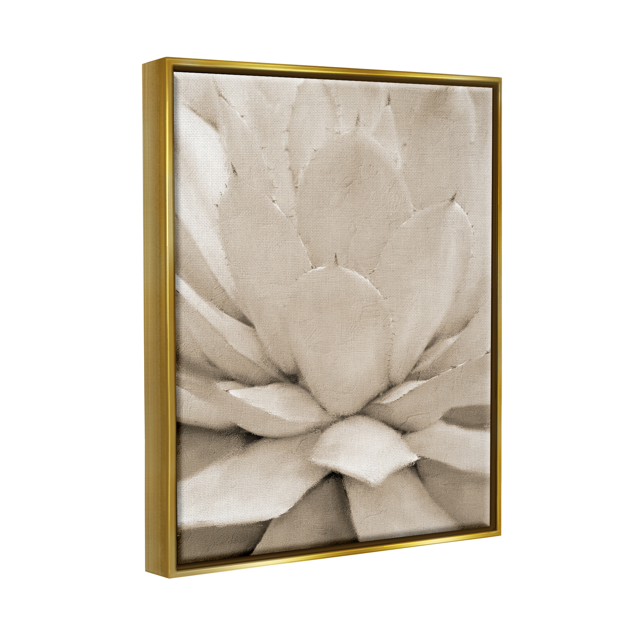 Stupell Industries Prickly Agave Plant Monochromatic Beige Desert Succulent Metallic Gold Framed Floating Canvas Wall Art, 24x30, by Kim Allen