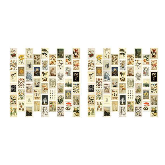 Vintage Aesthetic Wall Collage Kit - 100 Mini Botanical Collage Art Posters (4X6Inch), for Photo Wall