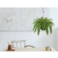 thumbnail image 5 of GnFlus Artificial Fern Plants Hanging Greenery Faux Ferns with Basket 25"Boston Fern 31 Leaves Fake Fern Indoor Outdoor Potted Plants bathroom Home Office Decor Dusty Green, 5 of 7