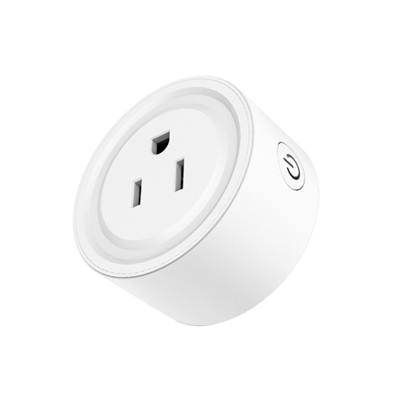 220v smart plug alexa
