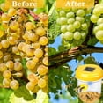 thumbnail image 6 of HYEASTR Wasp Traps Outdoor Hanging, Solar Bee Trap for Outside, Hornet Traps, Bee Wasp Catcher Outside Garden - Blue, 6 of 9