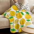 thumbnail image 3 of Soft Blanket Plush Warm Flannel Sofa Couch Chair Throw Blanket 50x60 inch Luxury Fluffy Lightweight Blankets for Bedroom Living Room Decor, Summer Fruit Theme Lemon, 3 of 6