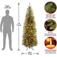 thumbnail image 2 of Árbol de Navidad de Abeto Kingswood Estilo Lápiz 7 pies con 300 Luces Blancas National Tree Company KW7-300-70, 2 of 2