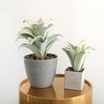 thumbnail image 3 of Mini Artificial Succulent Plant Bonsai Fake Pineapple Leaf Balcony Desktop Decor, 3 of 8