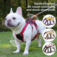 thumbnail image 2 of Cat Harness Vest Walking Lead Leash For Puppy Dogs Collar Oxford Adjustable Mesh Dog Harness For Small Medium Pet Accessories ShopWise Round, 2 of 10