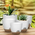 thumbnail image 5 of golytefs 5Pcs Self Watering Planters with Drainage Hole Plastic Plant Pots for Home Decor, 5 of 9