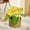 Yellow, variant on Bxaolu 1 Pack Wall Hanging Rope Basket (3.15"W×4.72"H) with Artificial Flower, Woven Storage Organizer Flower Plants Basket for Home Bathroom Office Shelf Tabletop Desk Room Decor