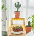 thumbnail image 4 of Acrylic Folding Portable Step Ladder for Adults - Transparent Step Stool for Indoor and Outdoor Use, Ideal for Kitchen, Library, and More, 4 of 6