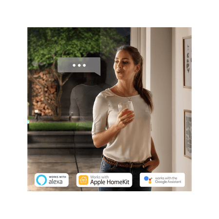 Philips - Hue Econic Outdoor Pathway Light Extension - White and Color Ambiance