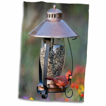 3dRose Northern Cardinal on copper lantern hopper bird feeder, Marion Co. IL - Towel, 15 by 22-inch