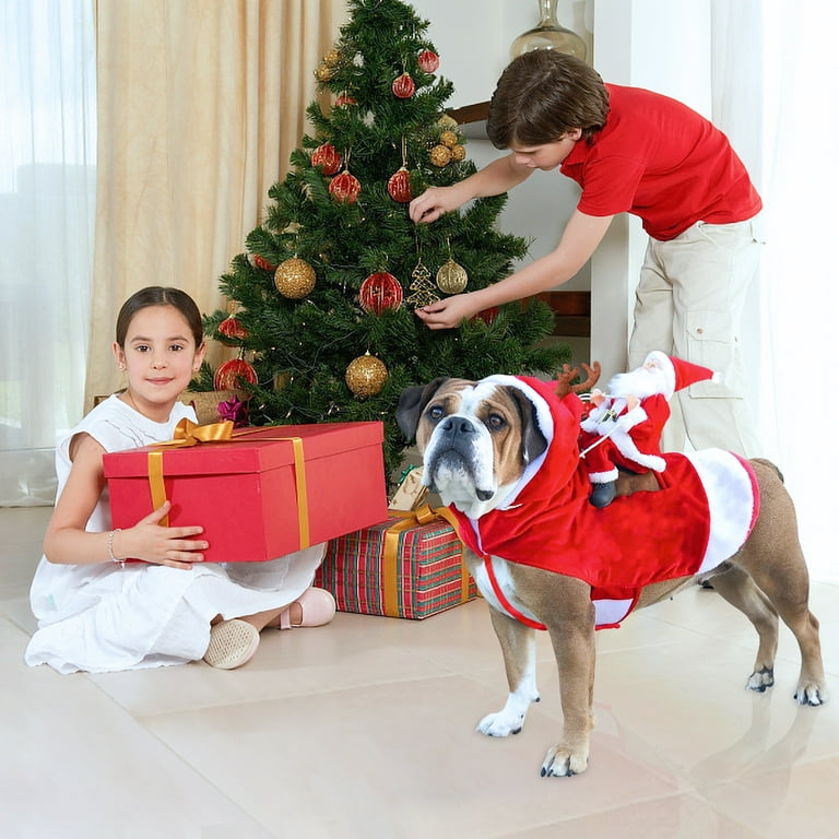 Dog christmas apparel sale