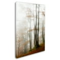 thumbnail image 2 of Trademark Fine Art 'Magic Hour in the Forest' Canvas Art by Philippe Sainte-Laudy, 2 of 3