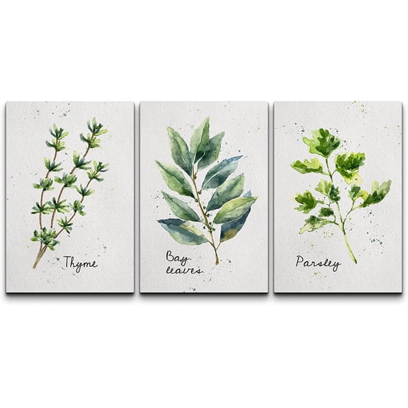wall26 Canvas Print Wall Art Set Pastel Thyme Bay Leaf Parsley Herbs Nature Wilderness Illustrations Modern Art Bohemian Decorative Rustic Contemporary for Living Room, Bedroom, Office - 16"x24"x3