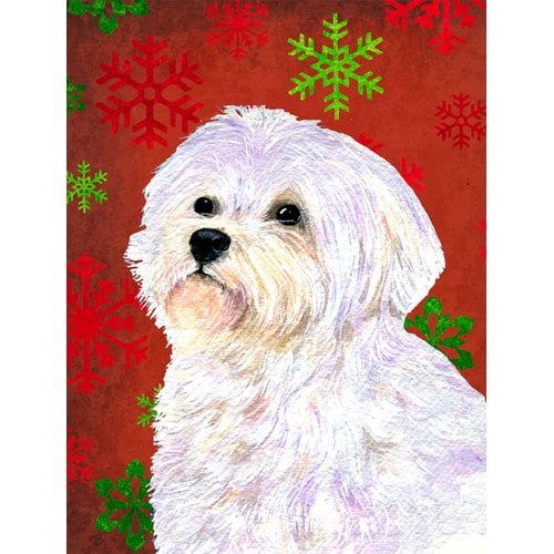 Caroline's Treasures Red and Green Snowflakes Holiday Christmas 2-Sided Garden Flag