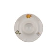 thumbnail image 4 of Kütahya Porselen - Multicolor - Regal - Baby Breakfast Set (5 Pieces), 4 of 7