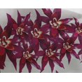 thumbnail image 4 of oneOone Georgette Viscose Fabric Flower Artistic Printed Craft Fabric BTY 42 Inch Wide, 4 of 4