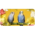 thumbnail image 1 of Parrot TAG01 Novelty Car Auto License Plate, 1 of 2