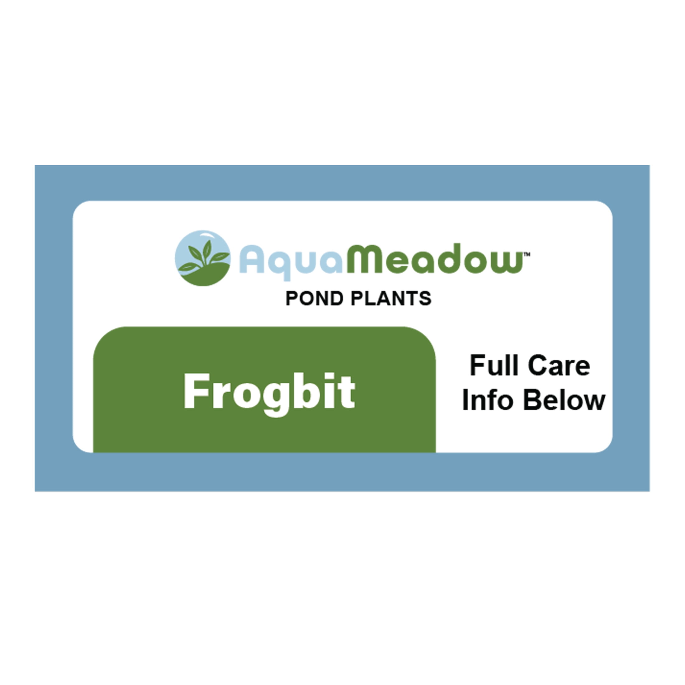 AquaMeadow Frogbit Surface Plant 3ct