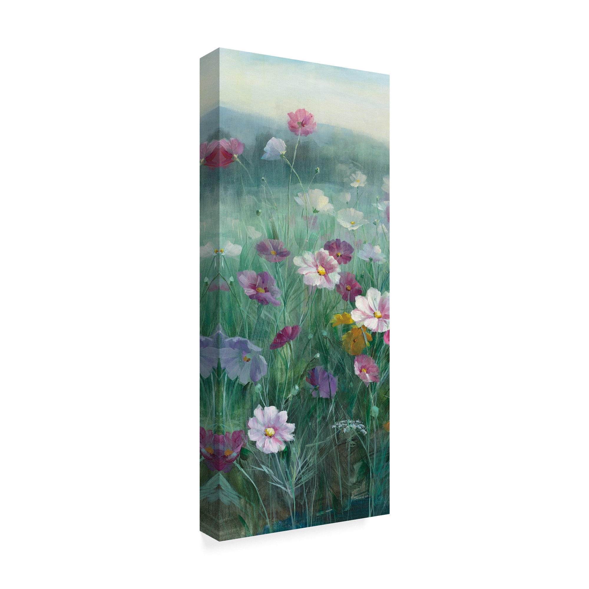 Trademark Fine Art 'Cosmos at Dawn II' Canvas Art by Danhui Nai