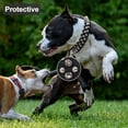 thumbnail image 2 of Golden Spike Collar for Dogs,With traction rope Spiked Dog Collar, Durable PU Leather Studded Dog Collar with Leash, Funny Mushrooms Rivet Small Puppy Pet Cat Adjustable Collar 1Pack, 2 of 6