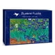 thumbnail image 1 of Rompecabezas Vincent Van Gogh - Irises 1889 Bluebird 1000 piezas, 1 of 1